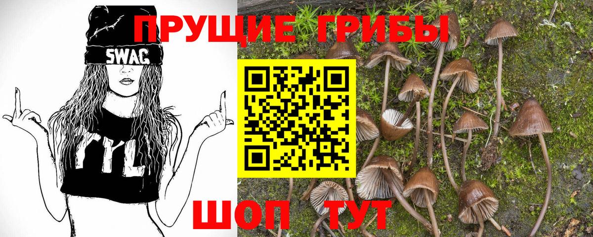 Галлюциногенные грибы прущие грибы  Галлюциногенные грибы Psilocybine cubensis  купить наркотики сайты  Вход с VPN  Владимир 