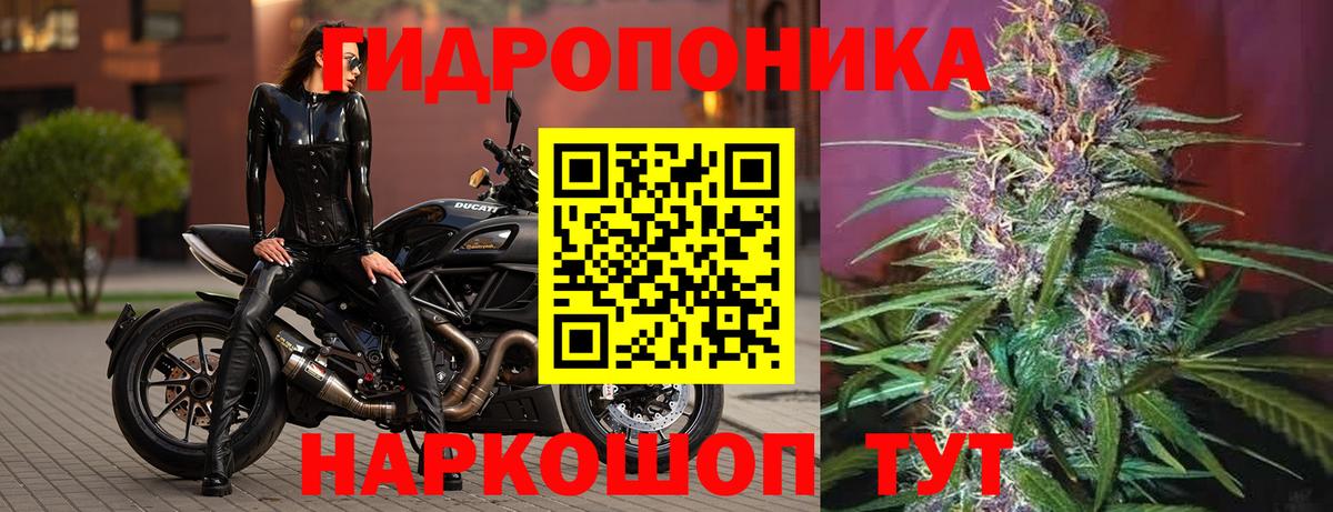 Владимир  Марихуана OG Kush  Вход с VPN  Конопля план  Конопля Amnesia 